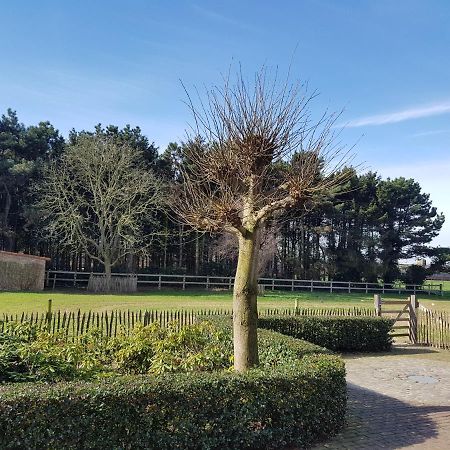 B&B Bergenhof Hoogstraten Zewnętrze zdjęcie