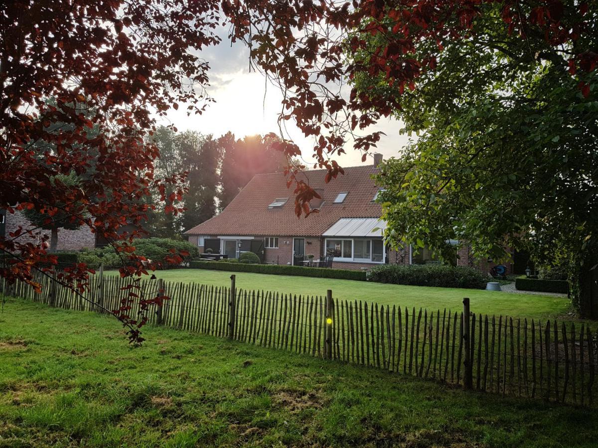 B&B Bergenhof Hoogstraten Zewnętrze zdjęcie