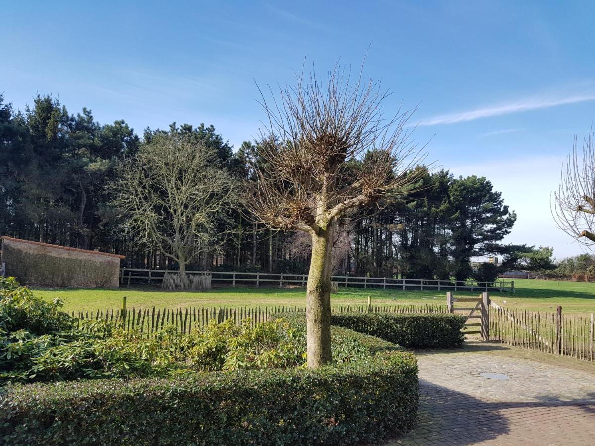 B&B Bergenhof Hoogstraten Zewnętrze zdjęcie
