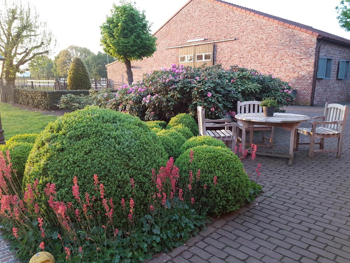 B&B Bergenhof Hoogstraten Zewnętrze zdjęcie
