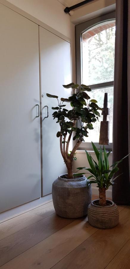 B&B Bergenhof Hoogstraten Zewnętrze zdjęcie