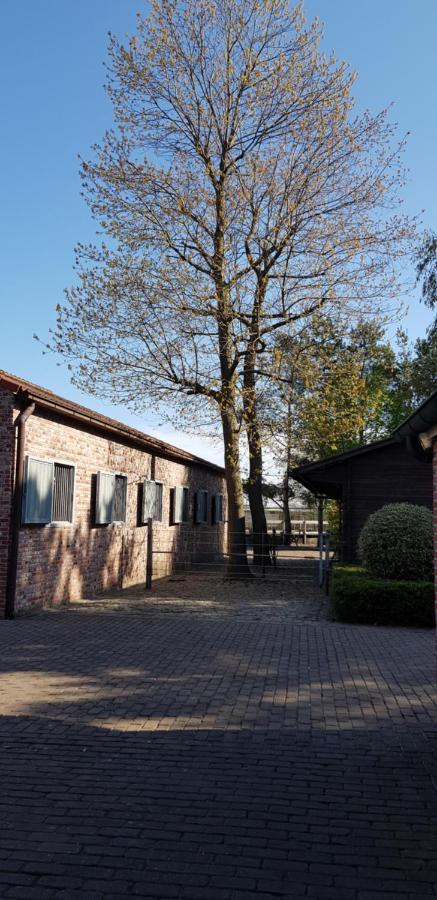 B&B Bergenhof Hoogstraten Zewnętrze zdjęcie